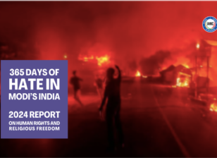 IAMC Annual Report 2024