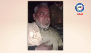 Cow vigilantes