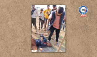 cow slaughter