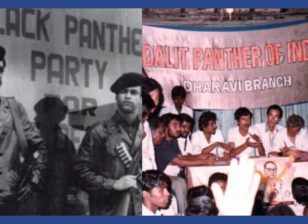 The Black Panther