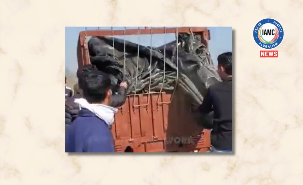 cattle transport